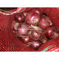 Healthy Fresh Red Onion